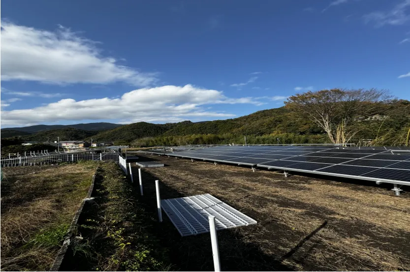 solar welding mesh fence